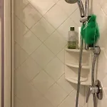 Stella 24 * Fort Village