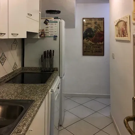 Stella 24 *