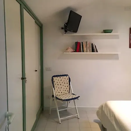 Stella 24 *