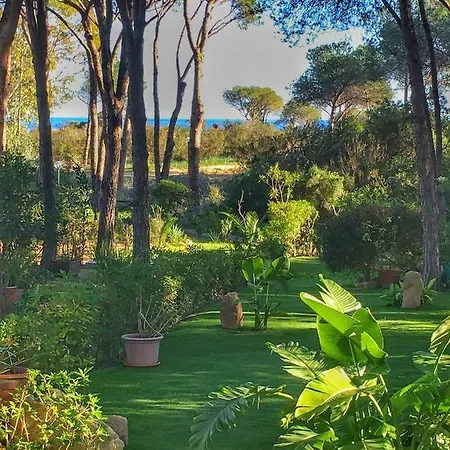 Stella 24 * Fort Village